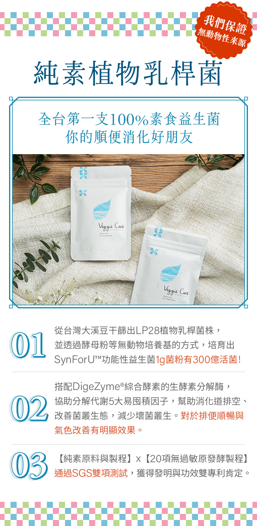 乳桿菌
