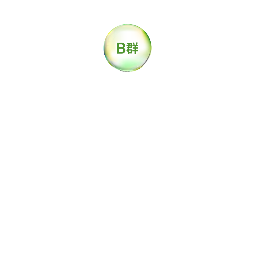 B 群
