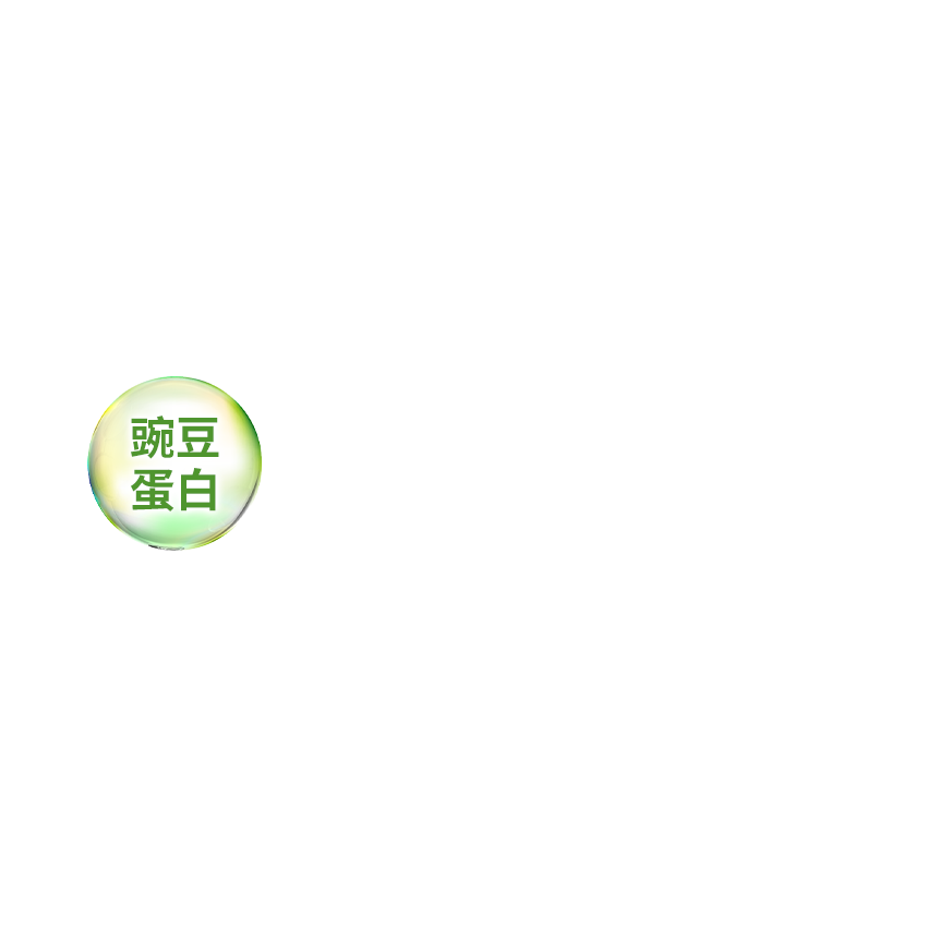 豌豆蛋白
