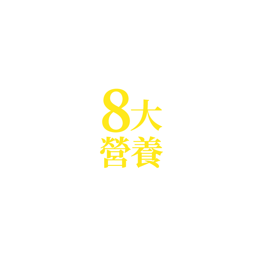8 大營養